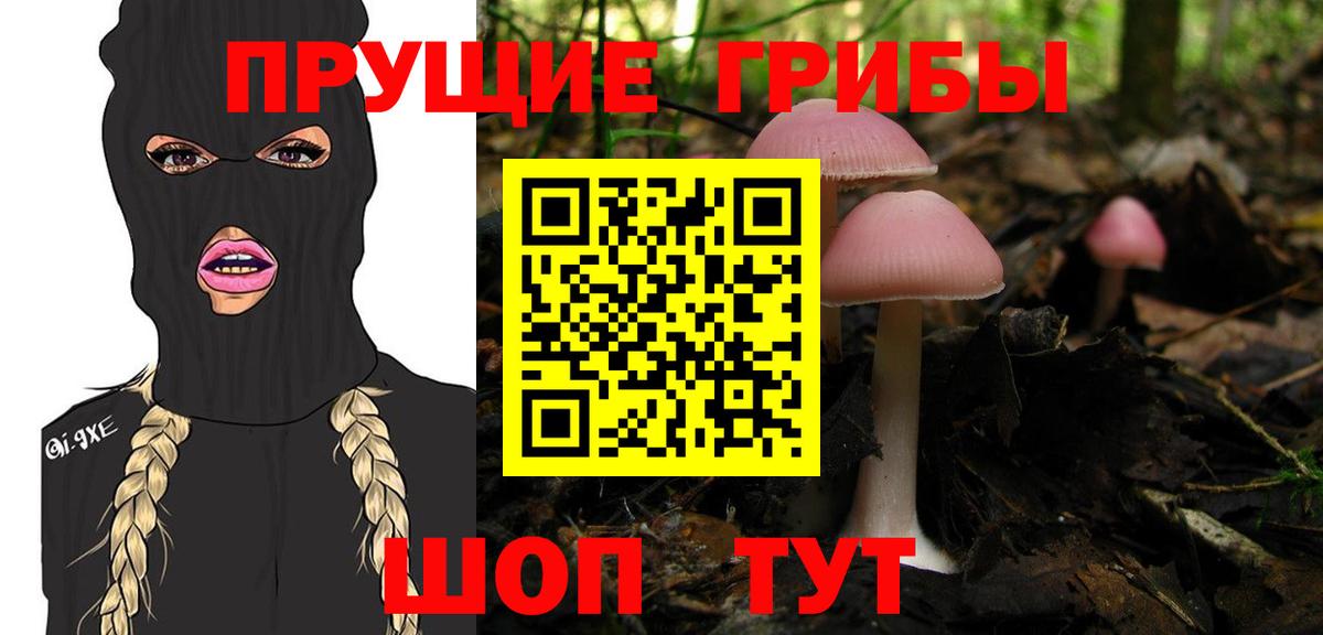 Галлюциногенные грибы Magic Shrooms  Вход с VPN  Вязьма  Псилоцибиновые грибы Psilocybine cubensis 